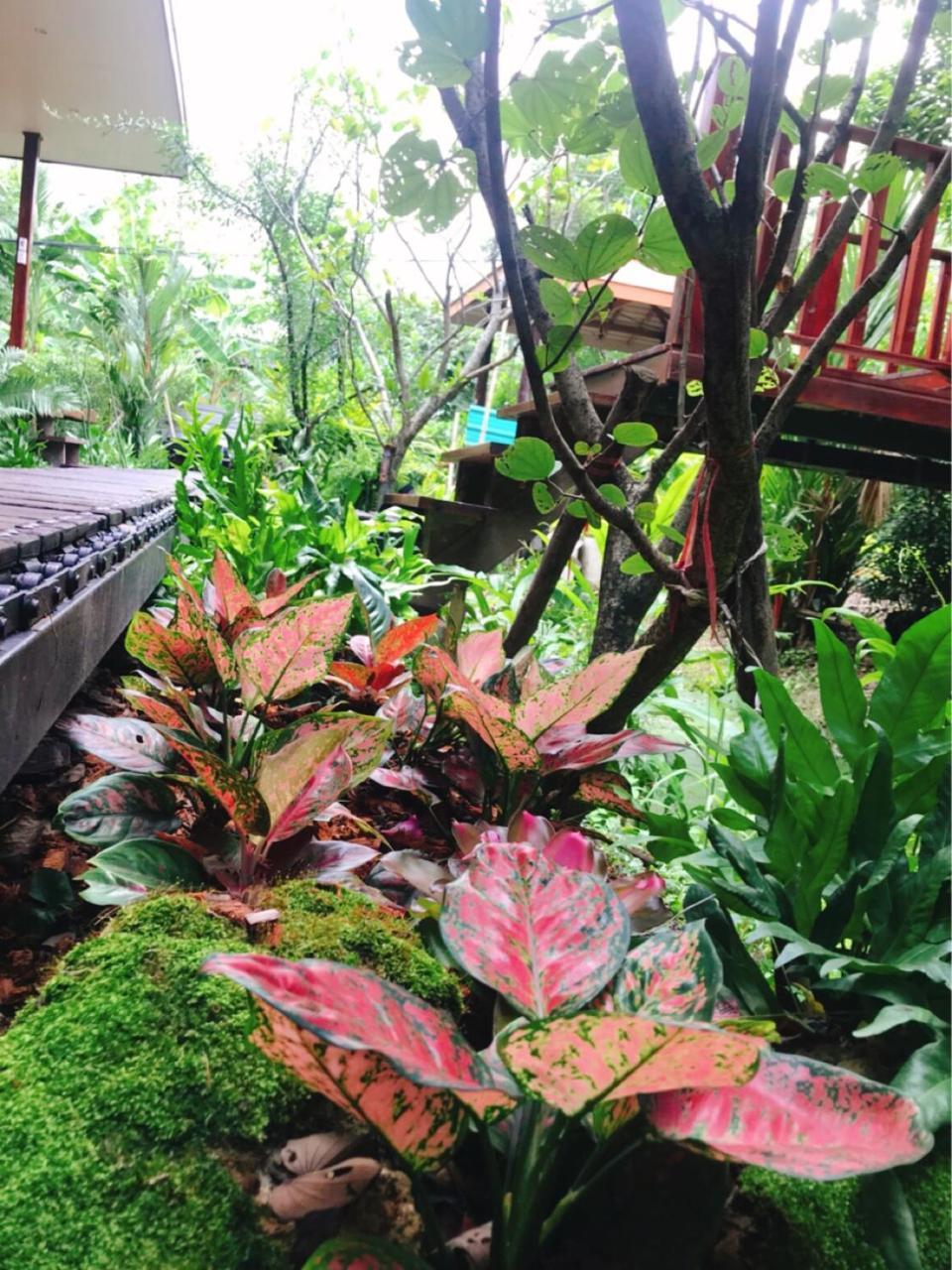 88 Homestay Bang Chak エクステリア 写真