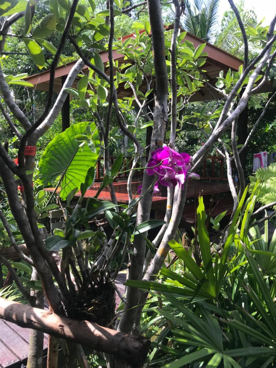 88 Homestay Bang Chak エクステリア 写真