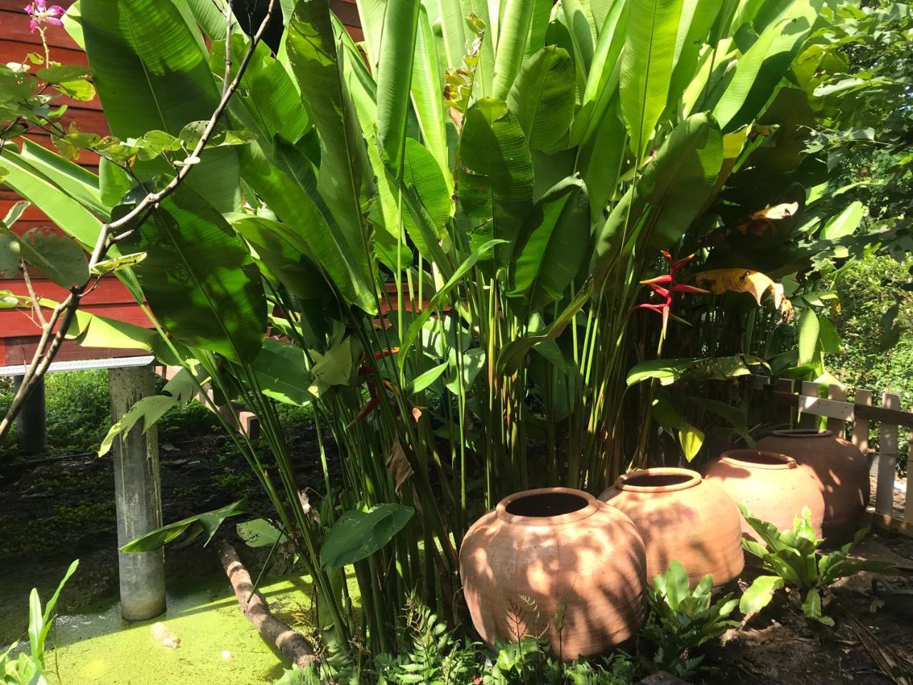 88 Homestay Bang Chak エクステリア 写真